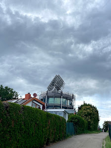 Heliotrop – Bild