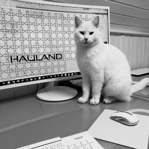 Hauland GmbH – Bild