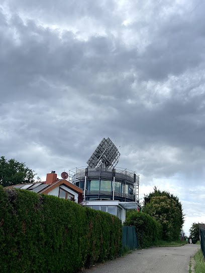 Heliotrop