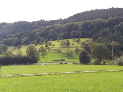 Vario-hausbau AG – Bild