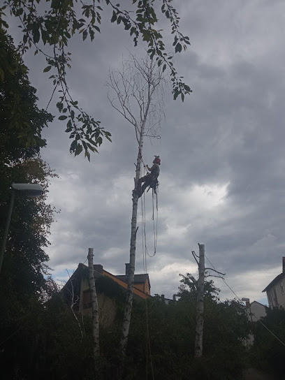 THE TREEHOUSECOMPANY