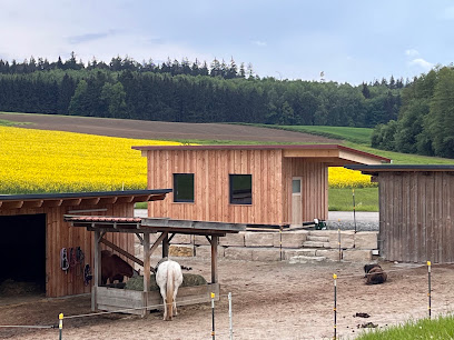 Donharl Zimmerei & Holzbau