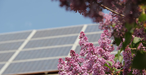 ENERGIEUMDENKER.DE – Bild