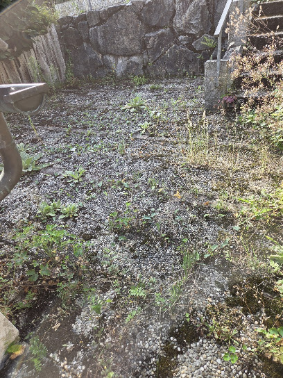 Meisterwerk Service Rund um Haus und Garten