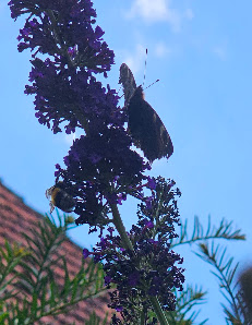 Bindel-Isolierungen GmbH – Bild