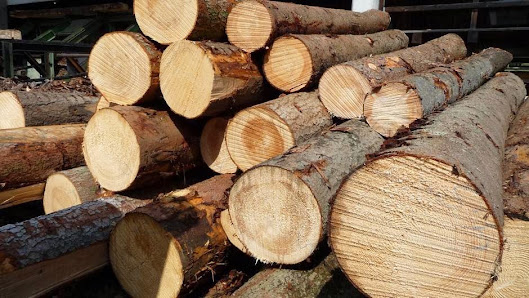 HOLZ FREYMADL GmbH & Co. KG | Sägewerk und Hobelwerk – Bild