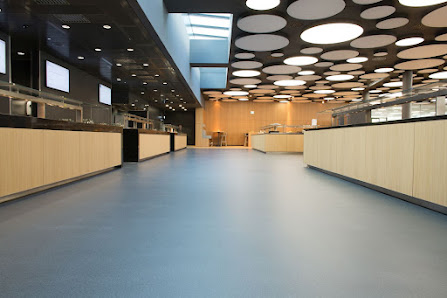 BARiT Kunstharz-Belagstechnik GmbH – Bild