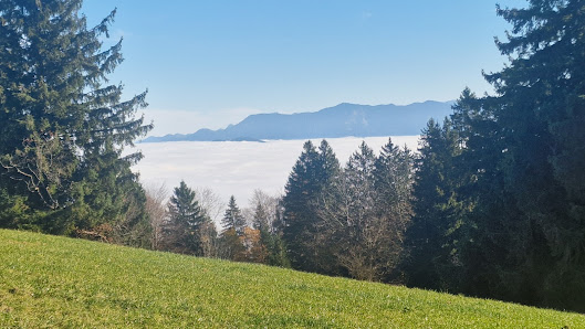 Holzbau Hundham – Bild