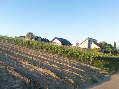 IW Bau GmbH