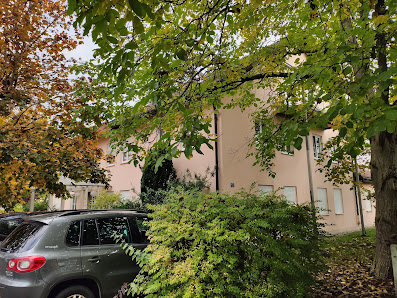 Scheidl Bauunternehmen GmbH – Bild