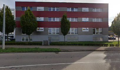 Renz Ingenieurgesellschaft mbH & Co. KG