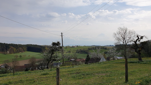 Trockenbau Brendle – Bild