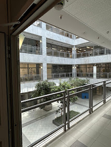 IBG Immobilien Bau Gebäudemanagement GmbH – Bild