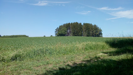 Holzbau Hümmer