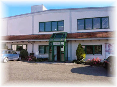 Team Holz Vier GmbH – Bild