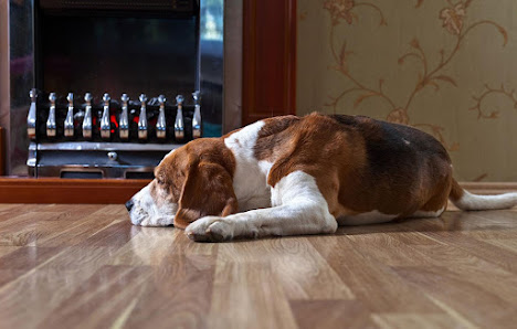 KHG Kessel Holz- und Baustoff GmbH – Bild
