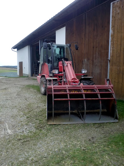 Steger Ullmann GbR Holzbau - Zimmerei