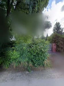 MMS – Bild