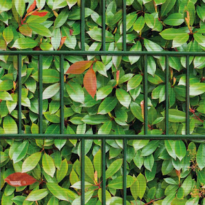 M-tec home & garden – Bild