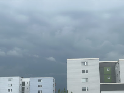 Altneue Bauprojektentwckler AG