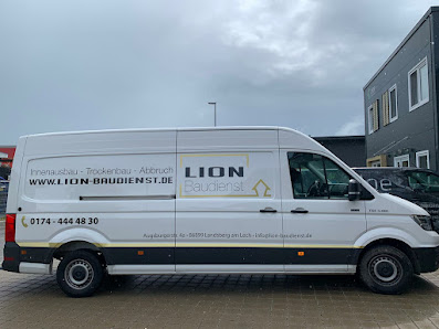 Lion Baudienst – Bild