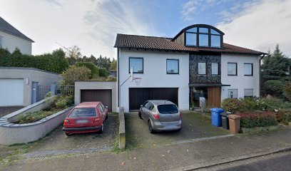 Dach & Holzbau STECK