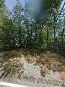 Holz Adrian GmbH – Bild