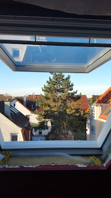 F. Holzwarth – Bild