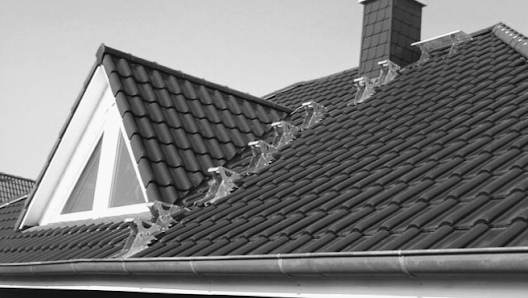 Dachservice Pintilei – Bild