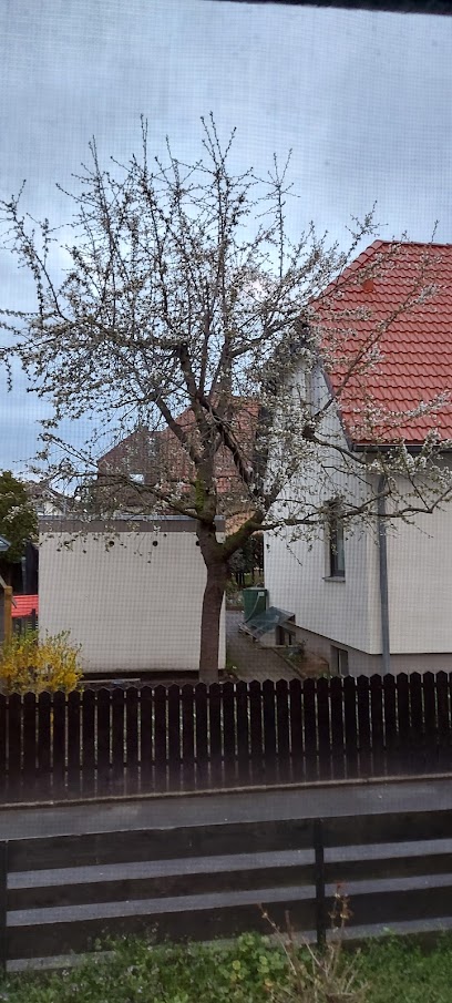 Gemeinnütziges Wohnungs- unternehmen Gartenheim e.G.