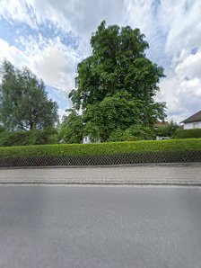 Grüner Bau – Bild