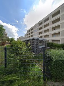 Cedelia – Bild