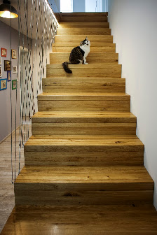 Artis Treppen Inh. Zehrudin Litric – Bild