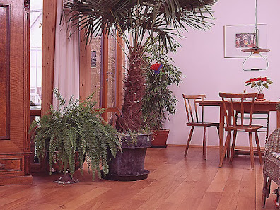 Naturbaustoffhaus GmbH – Bild