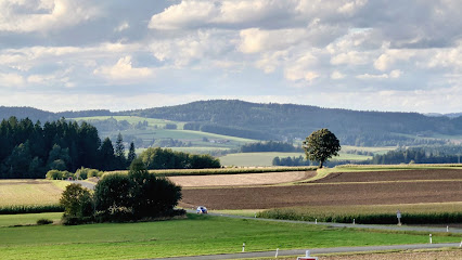 Zimmerei/Holzbau Mück