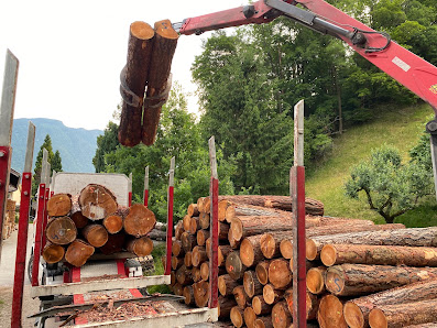 Holzschindeln Schindelheimat Harald Rapold - RAPOLD GmbH & Co.KG – Bild