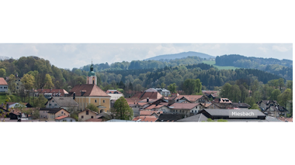 Immobilien-Service - Raiffeisenbank im Oberland eG
