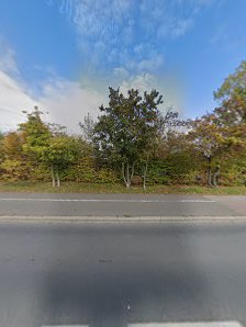 Bauunternehmen Thomas Merkel & Sohn GmbH – Bild