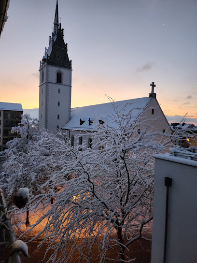 Friedrichshafen
