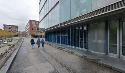 Beyer Projekte