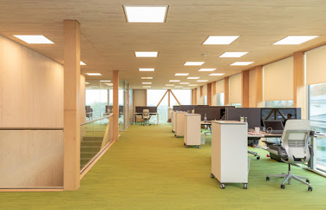 Envola GmbH – Bild