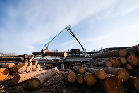 Mayer Sägewerk & Holzhandlung GmbH – Bild