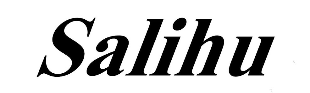 Firma Salihu – Bild