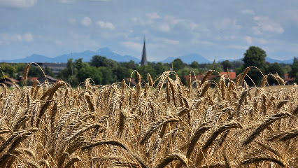 Föching-Aberg