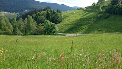 Holzbau Bäuerle GmbH
