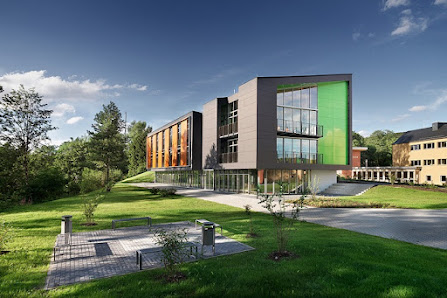 Holzbau Moser KG – Bild