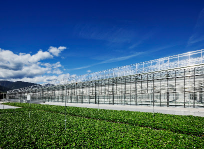Rabensteiner | Das Glashaus GmbH – Bild