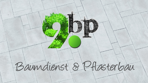 9bp Baumdienst und Pflasterbau – Bild