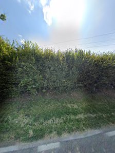 GHV Gesellschaft für Holzverarbeitung GmbH – Bild