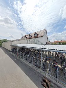 Vogelmann Baukonzept – Bild